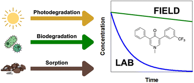 Graphical abstract: Laboratory measurements underestimate persistence of the aquatic herbicide fluridone in lakes