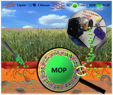 Graphical abstract: Soil-mimetic eco-friendly fertilizer gates: nanoclay-reinforced binary carbohydrates for improving crop efficiency