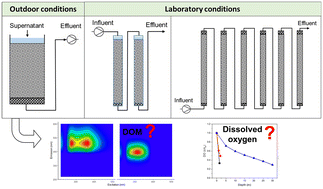 Graphical abstract: Changes in dissolved organic matter and oxygen consumption in different bank filtration simulations at different scales