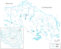 Graphical abstract: Estimation of summer CO2 emission from the littoral of lakes of different trophic levels in North-Eastern Poland