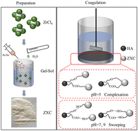 Graphical abstract: Insighting the interaction mechanism of zirconium xerogel coagulants with humic acid: the protective effect of acetylacetone