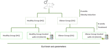 Graphical abstract: Extra virgin coconut oil (Cocos nucifera L.) intake shows neurobehavioural and intestinal health effects in obesity-induced rats