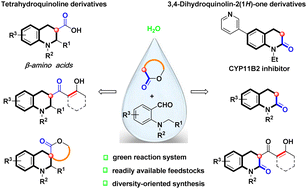 Graphical abstract: Divergent synthesis of nitrogen heterocycles via H2O-mediated hydride transfer reactions