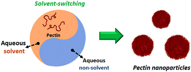 Graphical abstract: Aqueous nanoprecipitation for programmable fabrication of versatile biopolymer nanoparticles