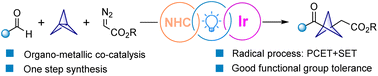 Graphical abstract: Visible light-induced synthesis of 1,3-disubstituted bicyclo[1.1.1]pentane ketones via cooperative photoredox and N-heterocyclic carbene catalysis