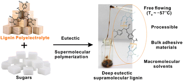 Graphical abstract: Fluidic lignin with ultra-low glass transition temperature (Tg < −57 °C): a versatile polyelectrolyte solvent platform
