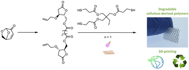 Graphical abstract: Levoglucosenone to 3D-printed green materials: synthesizing sustainable and tunable monomers for eco-friendly photo-curing