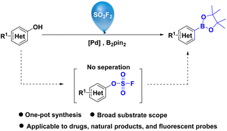 Graphical abstract: Borylation of phenols using sulfuryl fluoride activation