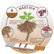 Graphical abstract: Natural dye-mediated signal tracer strategy: a green route for ultra-efficient immunochromatographic detection of antibiotics