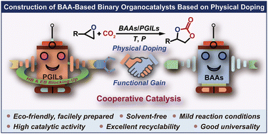 Graphical abstract: Functionally enhanced basic amino acid-based binary organocatalysts based on physical doping for efficient coupling of CO2 with epoxides