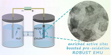 Graphical abstract: Tailoring the catalytically active sites in Co-based catalysts for electrochemical methanol upgrading to produce formate