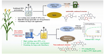 Graphical abstract: Densification pretreatment with a limited deep eutectic solvent triggers high-efficiency fractionation and valorization of lignocellulose