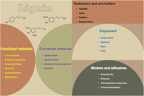 Graphical abstract: Lignin beyond the status quo: recent and emerging composite applications