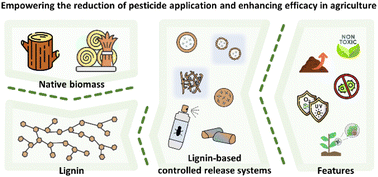 Graphical abstract: High-value utilization of lignin: construction of an intelligent release system for targeting the delivery of pesticides