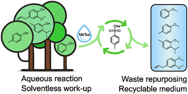 Graphical abstract: Aqueous sodium tosylate: a sustainable medium for alkylations