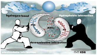 Graphical abstract: Design of a novel green bio-based organic–inorganic hybrid material for cost-effective and sustainable monitoring of antibiotic residues