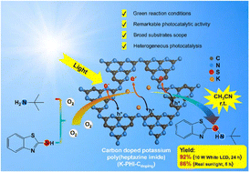 Graphical abstract: Heterogeneous photocatalytic synthesis of sulfenamides with carbon doped potassium poly(heptazine imide) through effective electron delocalization