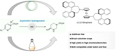 Graphical abstract: Iridium-catalyzed asymmetric, complete hydrogenation of pyrimidinium salts under batch and flow