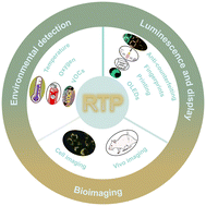 Graphical abstract: Recent progress with the application of organic room-temperature phosphorescent materials