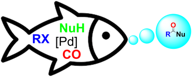 Graphical abstract: Palladium-catalyzed carbonylation of activated alkyl halides via radical intermediates