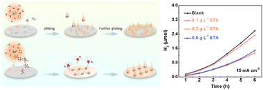 Graphical abstract: Stable zinc anode by regulating the solvated shell and electrode–electrolyte interface with a sodium tartrate additive