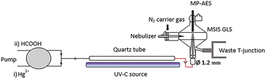 Graphical abstract: Modified MSIS chamber as a novel gas–liquid separator coupled with the photochemical vapor generation of trace mercury with MP-AES detection