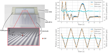 Graphical abstract: Automatic trajectory control of single cells using dielectrophoresis based on visual feedback