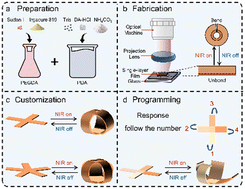 Graphical abstract: Customizable single-layer hydrogel robot with programmable NIR-triggered responsiveness