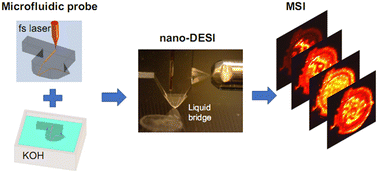 Graphical abstract: A monolithic microfluidic probe for ambient mass spectrometry imaging of biological tissues