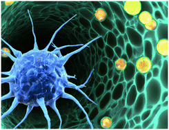 Graphical abstract: Microfluidic single-cell migration chip reveals insights into the impact of extracellular matrices on cell movement