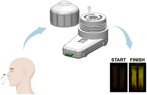 Graphical abstract: UbiNAAT: a multiplexed point-of-care nucleic acid diagnostic platform for rapid at-home pathogen detection