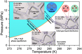 Graphical abstract: Path-dependent morphology of CH4 hydrates and their dissociation studied with high-pressure microfluidics