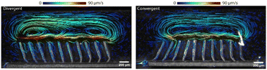 Graphical abstract: Programmable metachronal motion of closely packed magnetic artificial cilia