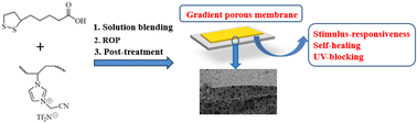 Graphical abstract: Preparation of gradient porous polymer membranes with multifunctionality