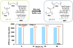 Graphical abstract: Hydrogen bonded polymer complex thin films for highly stretchable gas barriers