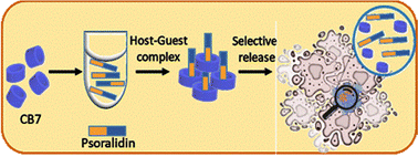 Graphical abstract: Psoralidin–cucurbit[7]uril complex with improved solubility to tackle human colorectal cancer: experimental and computational study