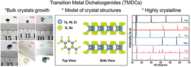 Graphical abstract: Bridging the gap: an in-depth comparison of CVT-grown layered transition metal dichalcogenides for supercapacitor applications