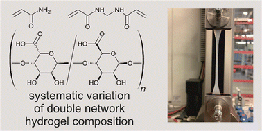 Graphical abstract: Unravelling parameter interactions in calcium alginate/polyacrylamide double network hydrogels using a design of experiments approach for the optimization of mechanical properties
