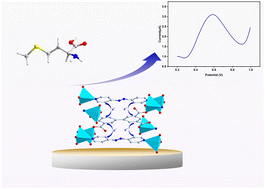 Graphical abstract: An ancillary-ligand strategy for the improvement of electrochemical sensing towards S-containing amines with ultralow detection limits