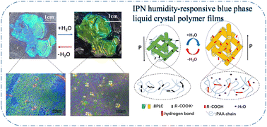 Graphical abstract: A blue phase liquid crystal film based on an interpenetrating network and its sensitive humidity response performance
