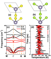 Graphical abstract: Hole doping at Sn sublattice of the buckled honeycomb SnX (X = S and Se) monolayer: an efficient functionalization approach