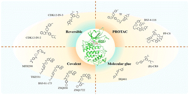 Graphical abstract: Research progress of anticancer drugs targeting CDK12