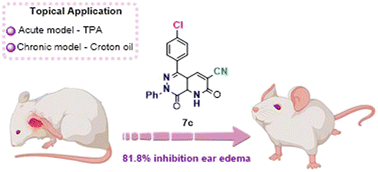 Graphical abstract: Discovery of a new pyrido[2,3-d]pyridazine-2,8-dione derivative as a potential anti-inflammatory agent through COX-1/COX-2 dual inhibition