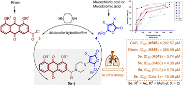 Graphical abstract: Design, synthesis and biological evaluation of rhein–piperazine–furanone hybrids as potential anticancer agents