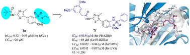 Graphical abstract: Highly potent and selective phosphatidylinositol 4-kinase IIIβ inhibitors as broad-spectrum anti-rhinoviral agents
