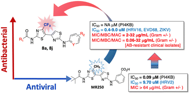 Graphical abstract: 4-Trifluoromethyl bithiazoles as broad-spectrum antimicrobial agents for virus-related bacterial infections or co-infections