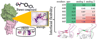 Graphical abstract: Effect of computationally designed fragment-based analogs on the RBD–ACE2 complex of the SARS-CoV-2 P.1 variant