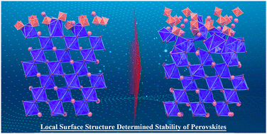 Graphical abstract: Are formation and adsorption energies enough to evaluate the stability of surface-passivated tin-based halide perovskites?