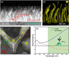 Graphical abstract: Abnormal in-plane epitaxy and formation mechanism of vertically aligned Au nanopillars in self-assembled CeO2–Au metamaterial systems