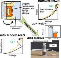 Graphical abstract: Hybrid artificial muscle: enhanced actuation and load-bearing performance via an origami metamaterial endoskeleton